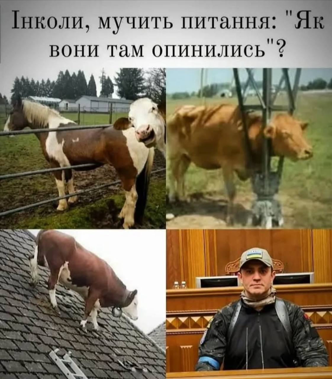 Новини Вінниці - фото з Робимо огляд у мемах новин України та світу за минулий тиждень