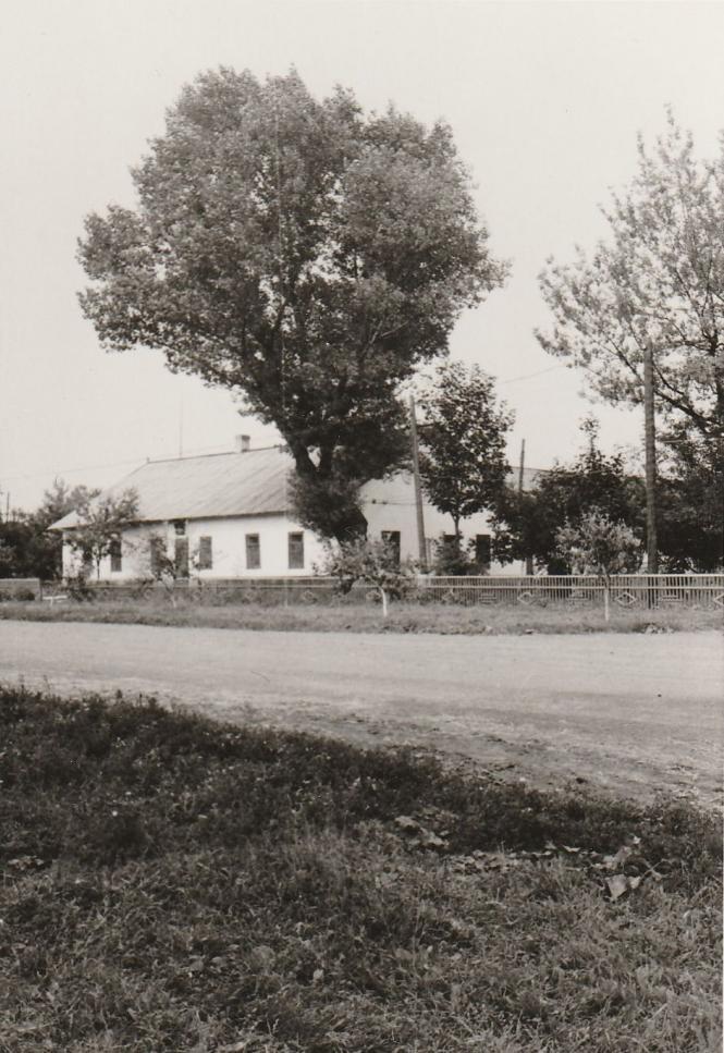 Новини Вінниці - фото з Забута історія: як голландські колоністи створили село на Козятинщині