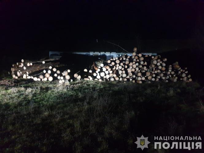 Новини Вінниці - фото з Лісника затримали на хабарі у 50 тисяч гривень. Він хотів продати сосну