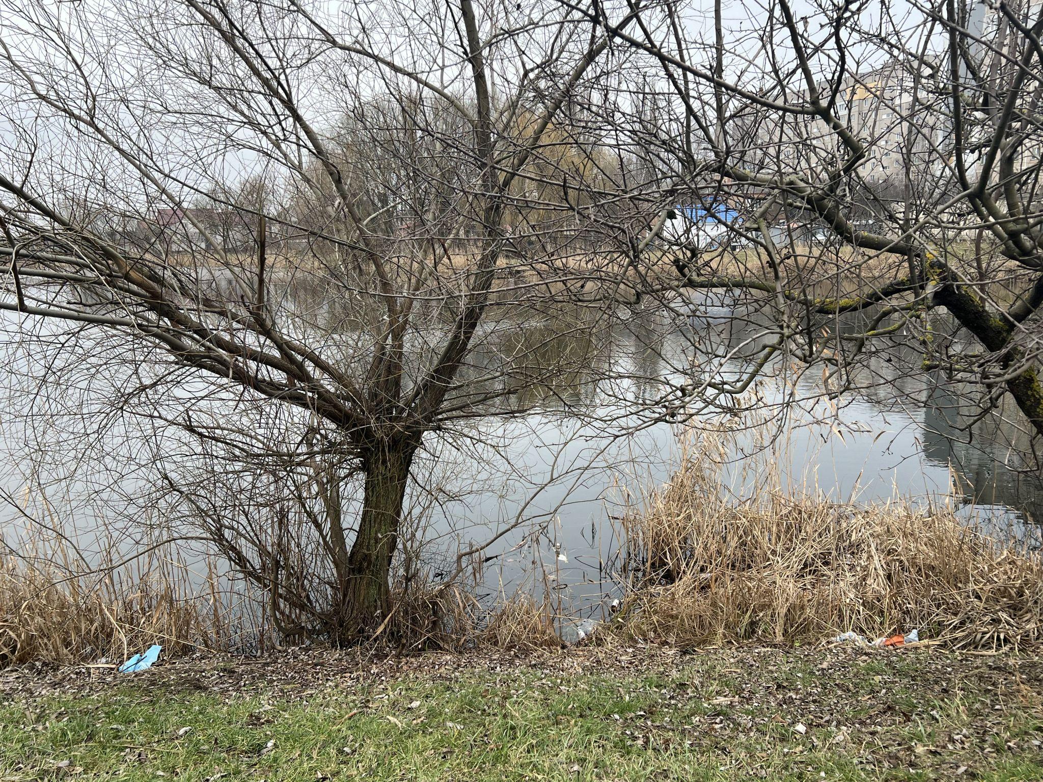 Новини Вінниці - фото з Родинне озеро закидали сміттям. Мешканці Тяжилова прагнуть покарати винуватців