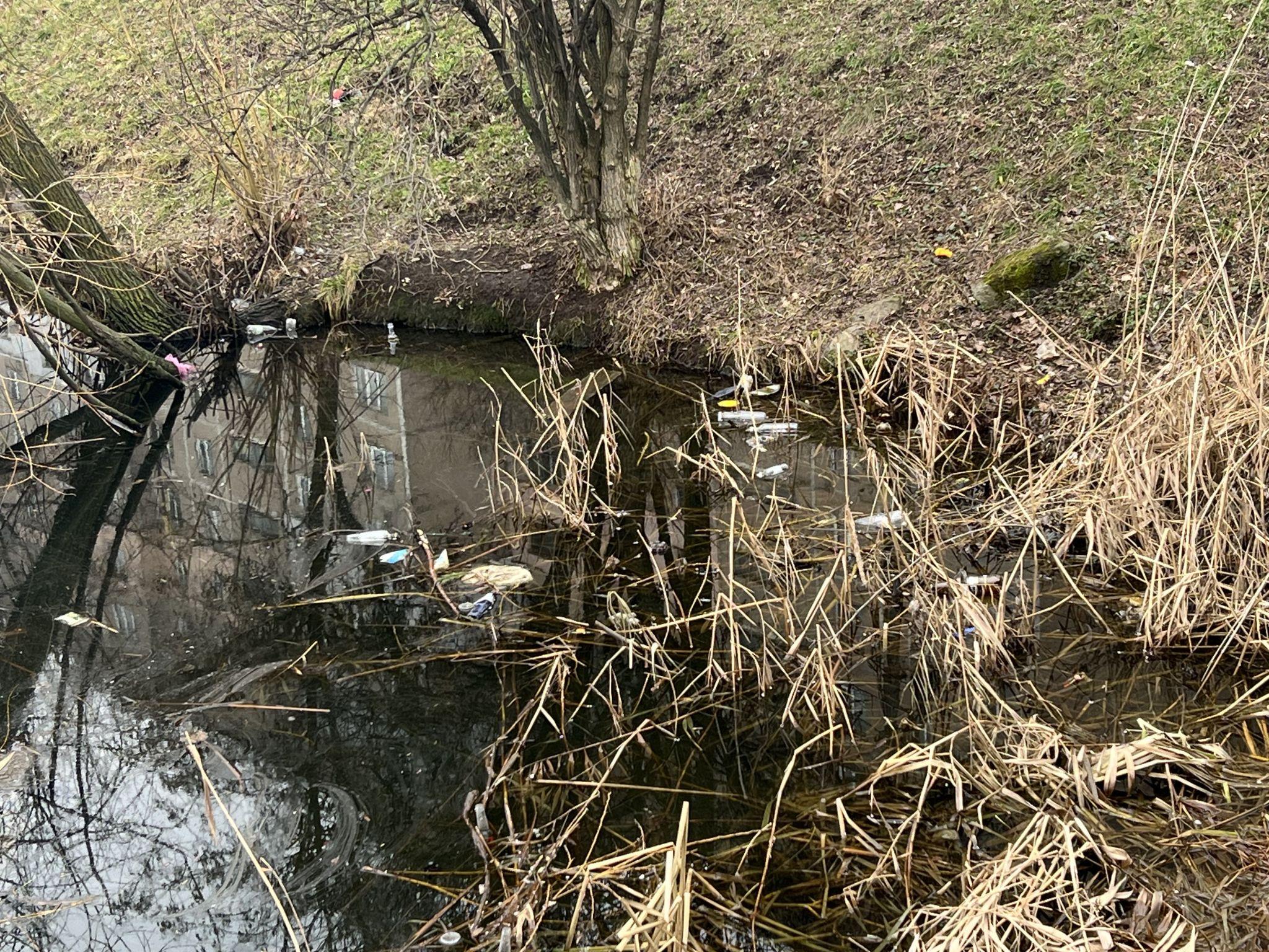 Новини Вінниці - фото з Родинне озеро закидали сміттям. Мешканці Тяжилова прагнуть покарати винуватців