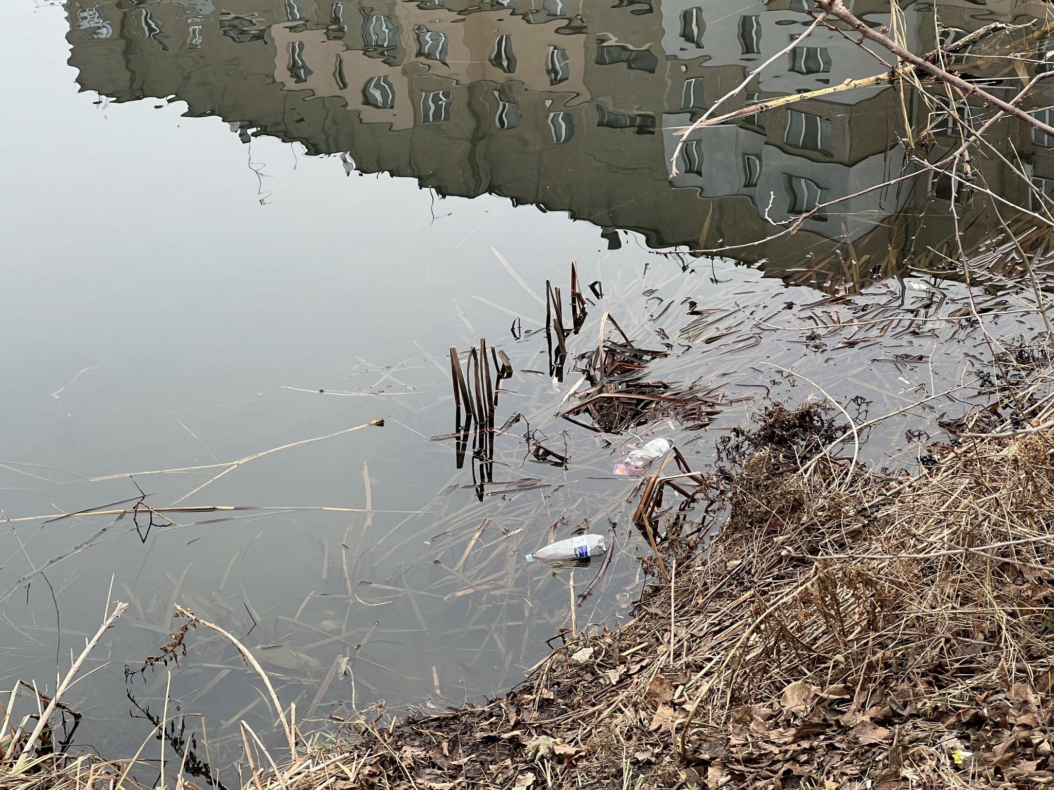 Новини Вінниці - фото з Родинне озеро закидали сміттям. Мешканці Тяжилова прагнуть покарати винуватців