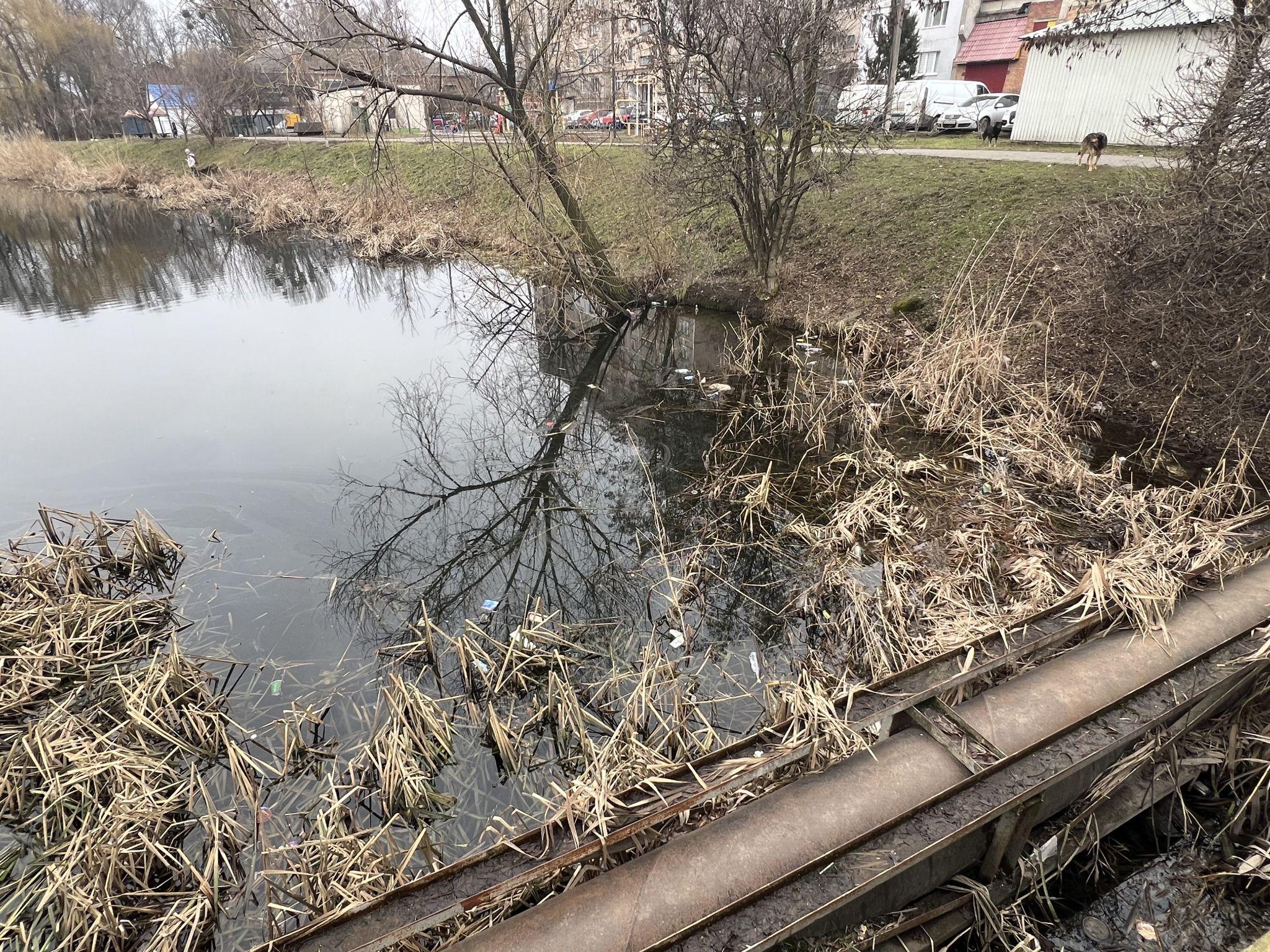 Новини Вінниці - фото з Родинне озеро закидали сміттям. Мешканці Тяжилова прагнуть покарати винуватців