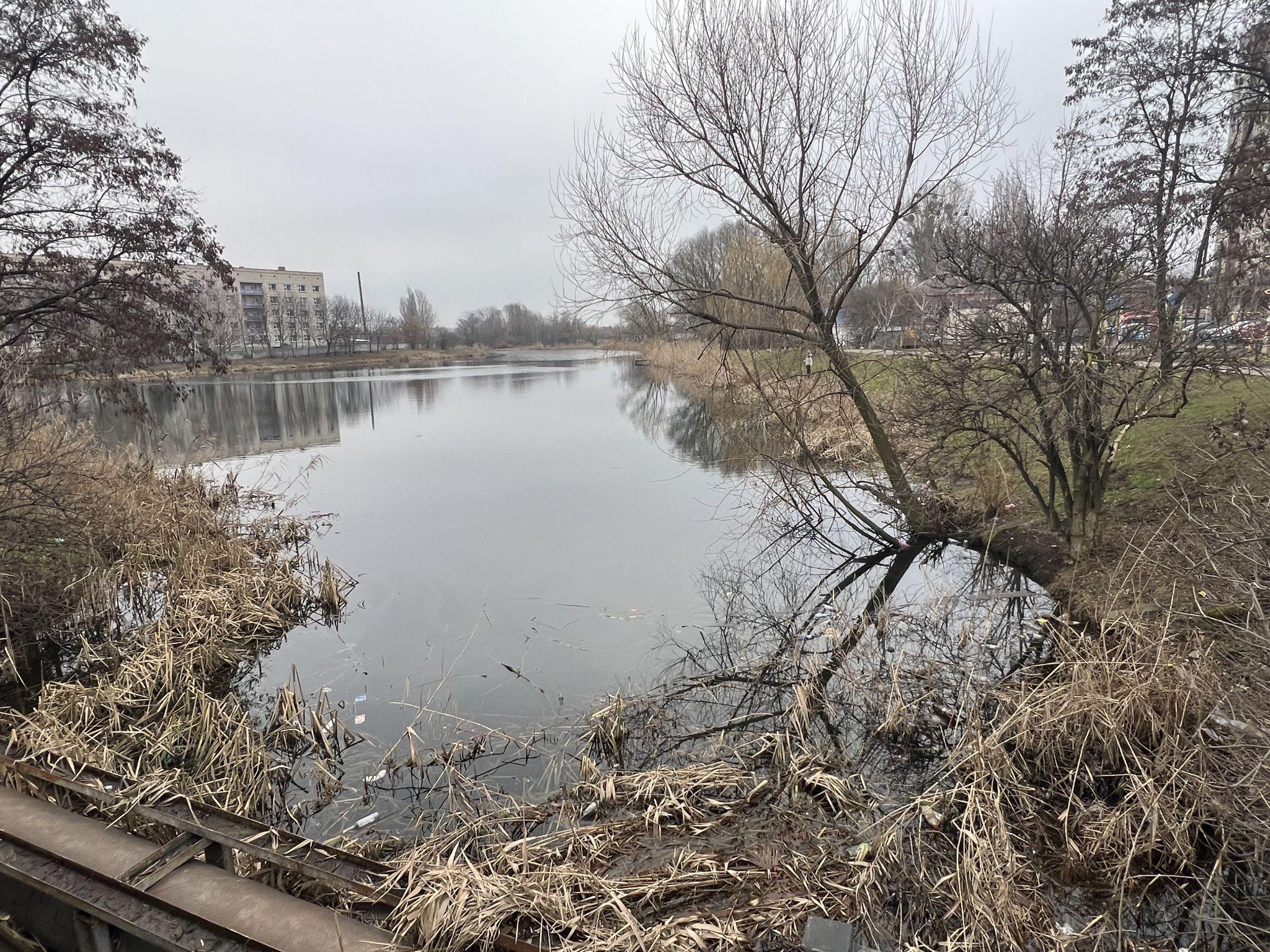 Новини Вінниці - фото з Родинне озеро закидали сміттям. Мешканці Тяжилова прагнуть покарати винуватців