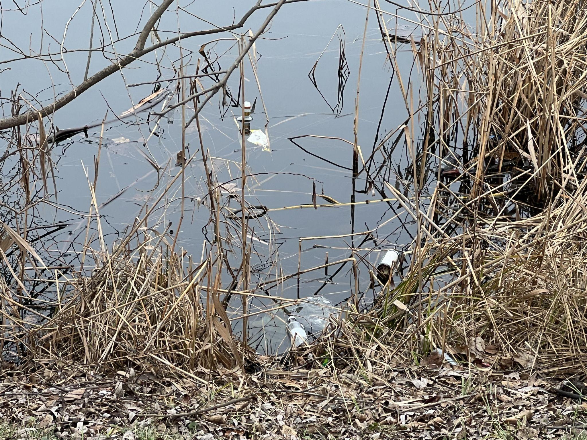 Новини Вінниці - фото з Родинне озеро закидали сміттям. Мешканці Тяжилова прагнуть покарати винуватців
