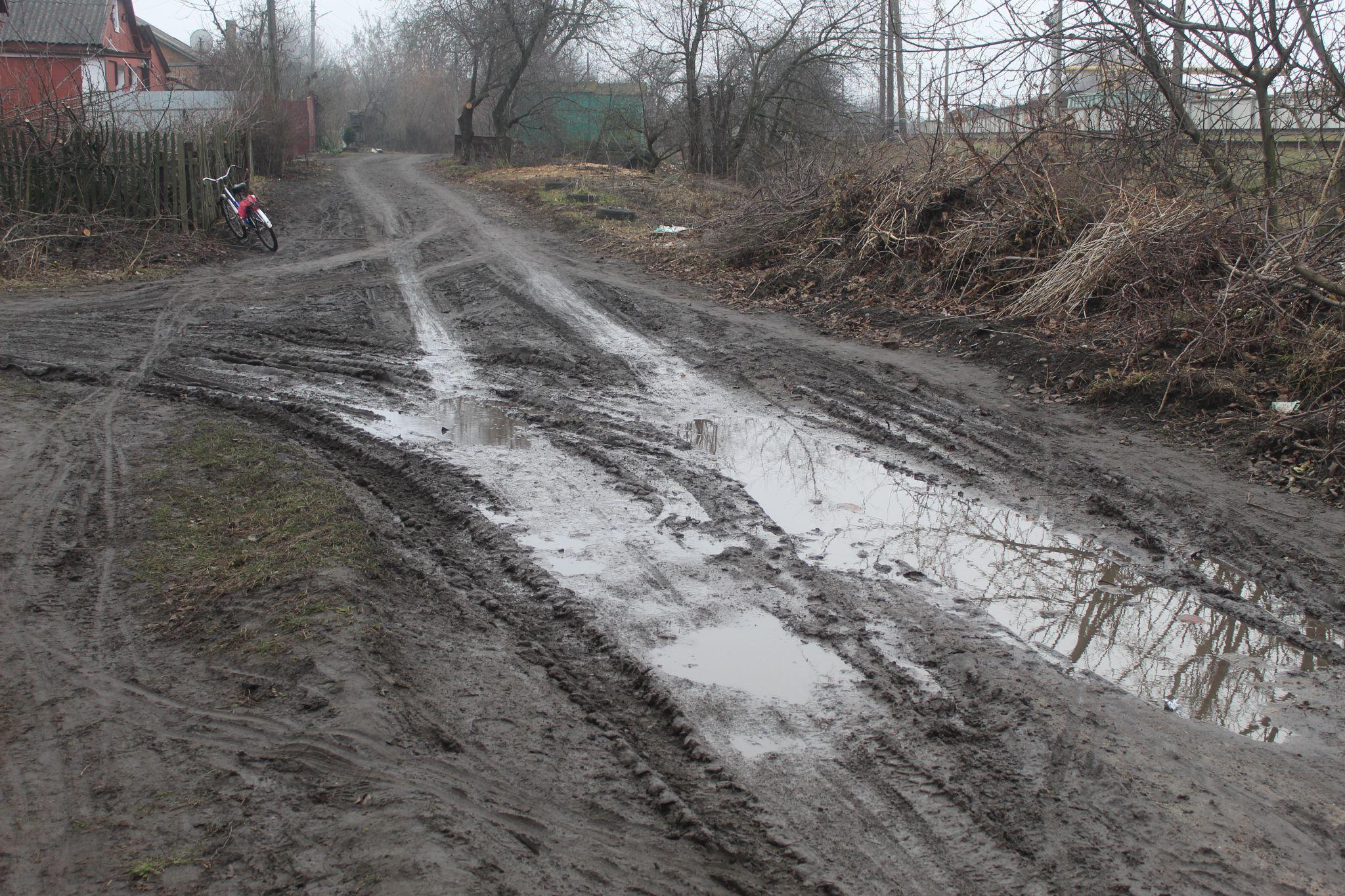 Новини Козятина - фото з Демонтована ялинка, трохи про собак, сміття, освітлення і дороги