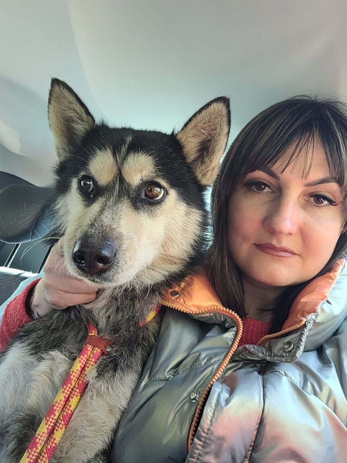 Новини Вінниці - фото з «Забери собаку, бо викинемо її на вулицю»: як держслужбовиця рятує бездомних тварин