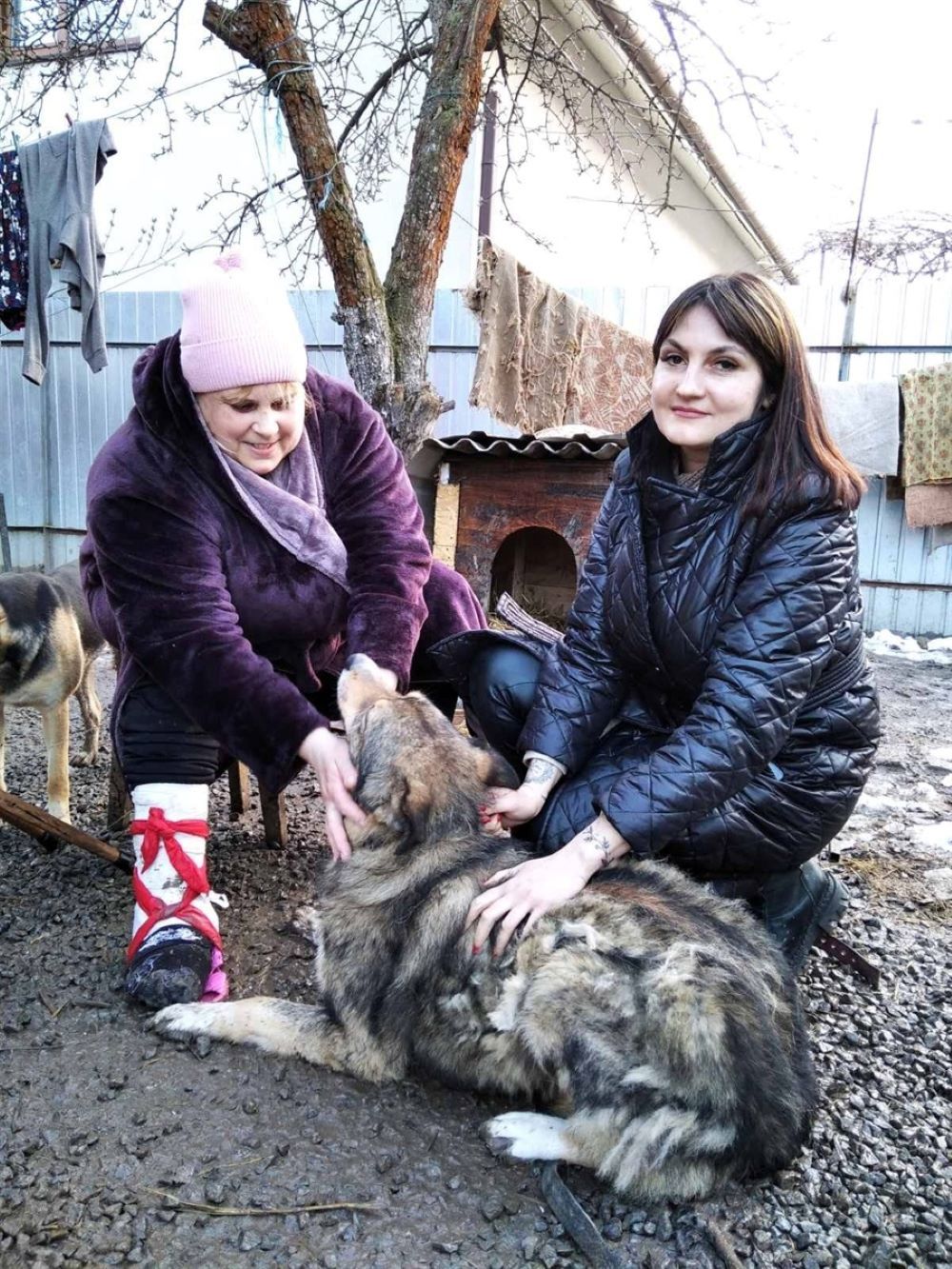 Новини Вінниці - фото з «Забери собаку, бо викинемо її на вулицю»: як держслужбовиця рятує бездомних тварин