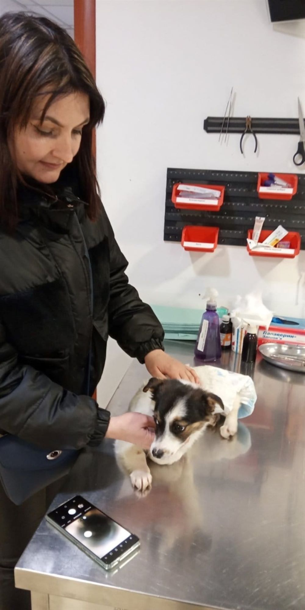 Новини Вінниці - фото з «Забери собаку, бо викинемо її на вулицю»: як держслужбовиця рятує бездомних тварин