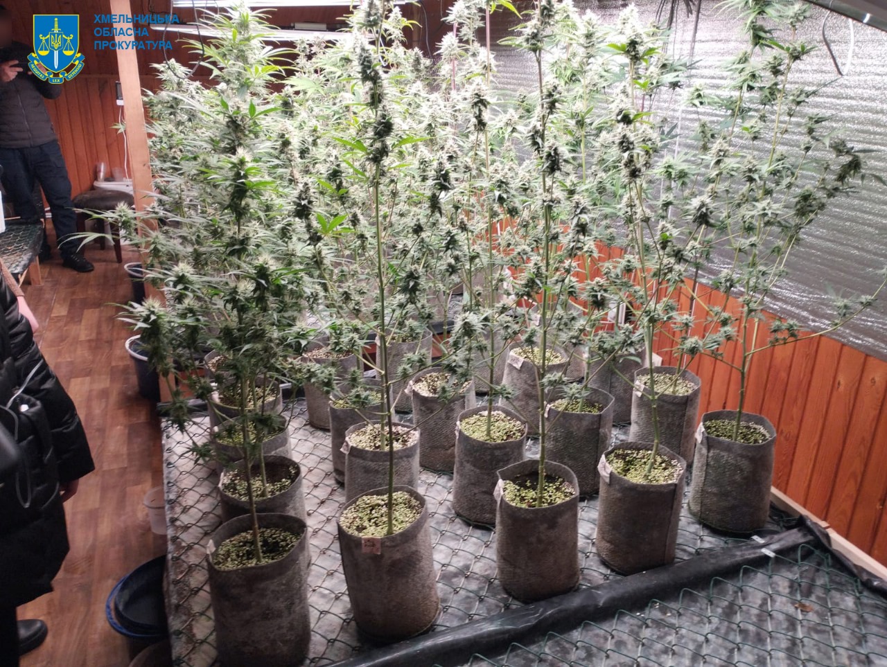 Возможно, это изображение 2 человека