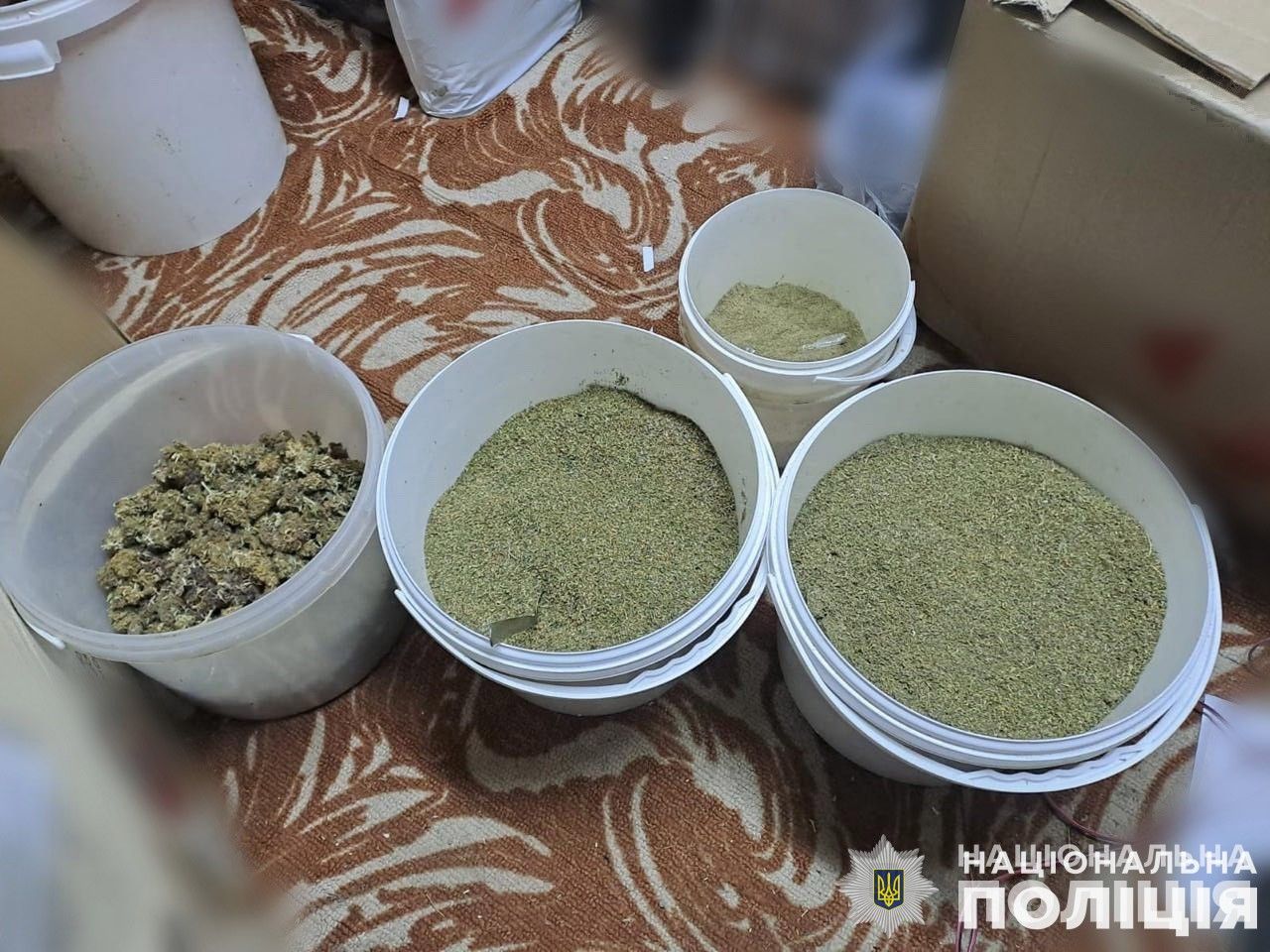 Новини Тернополя - фото з Ліквідували наркокартель, який мав мільйонні прибутки