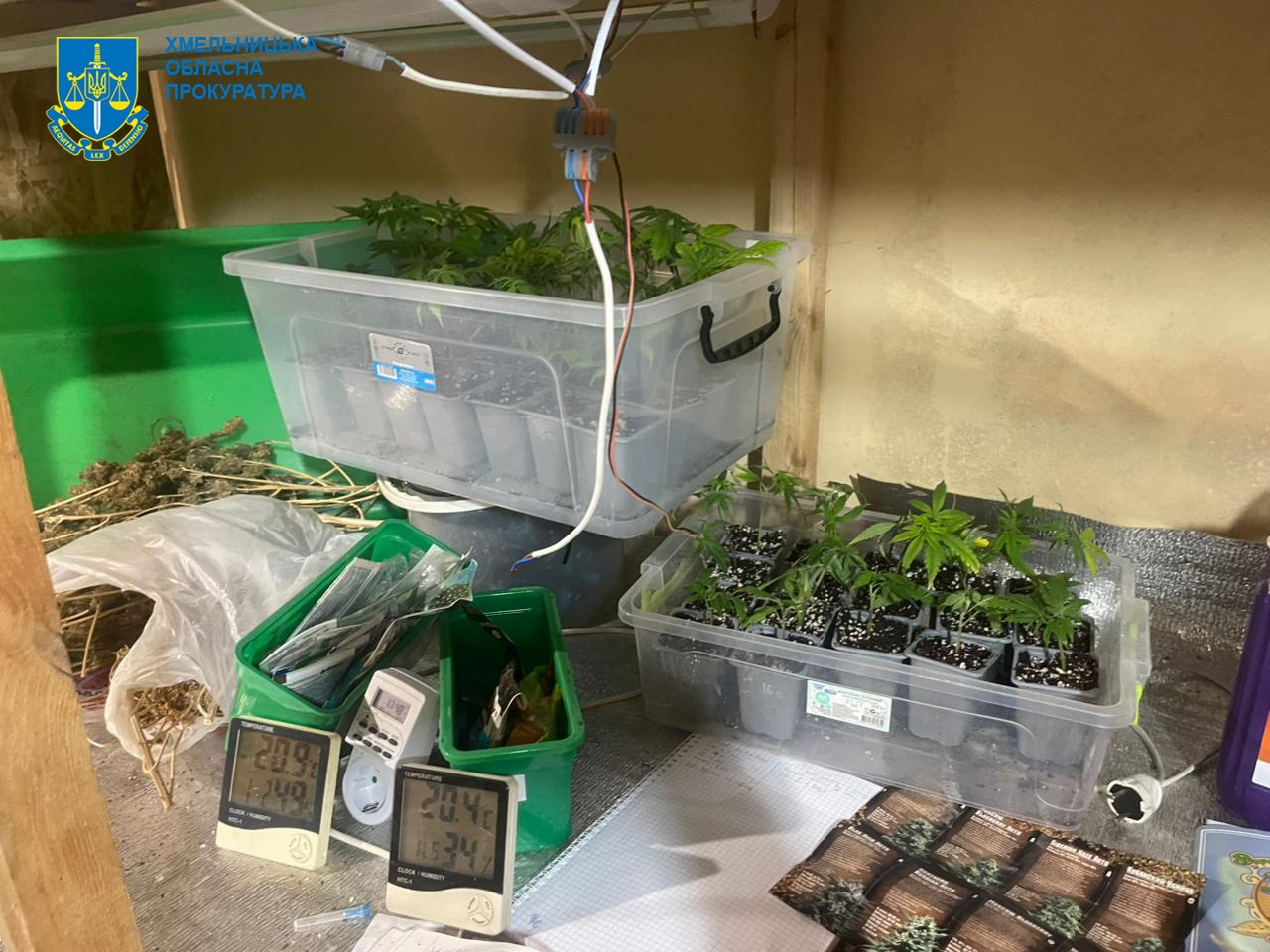 Возможно, это изображение ‎парник, ростки и ‎текст «‎_للاب ХМЕЛЬНИЦЬКА ОБЛАСНА ПРОКУРАТУРА U Lov 400ROE‎»‎‎