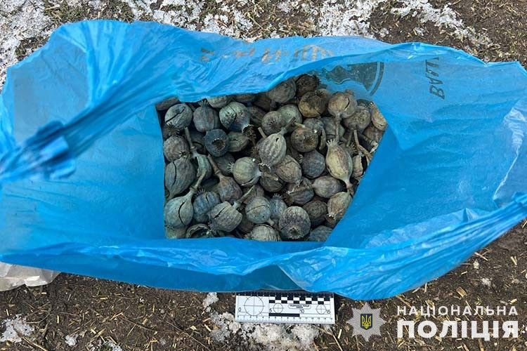 Новини Тернополя - фото з Жительку Почаєва підозрюють у збуті макової соломи