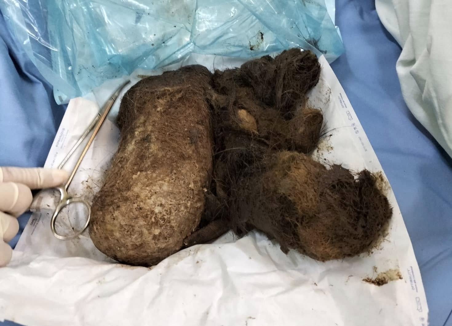 На зображенні може бути: текст