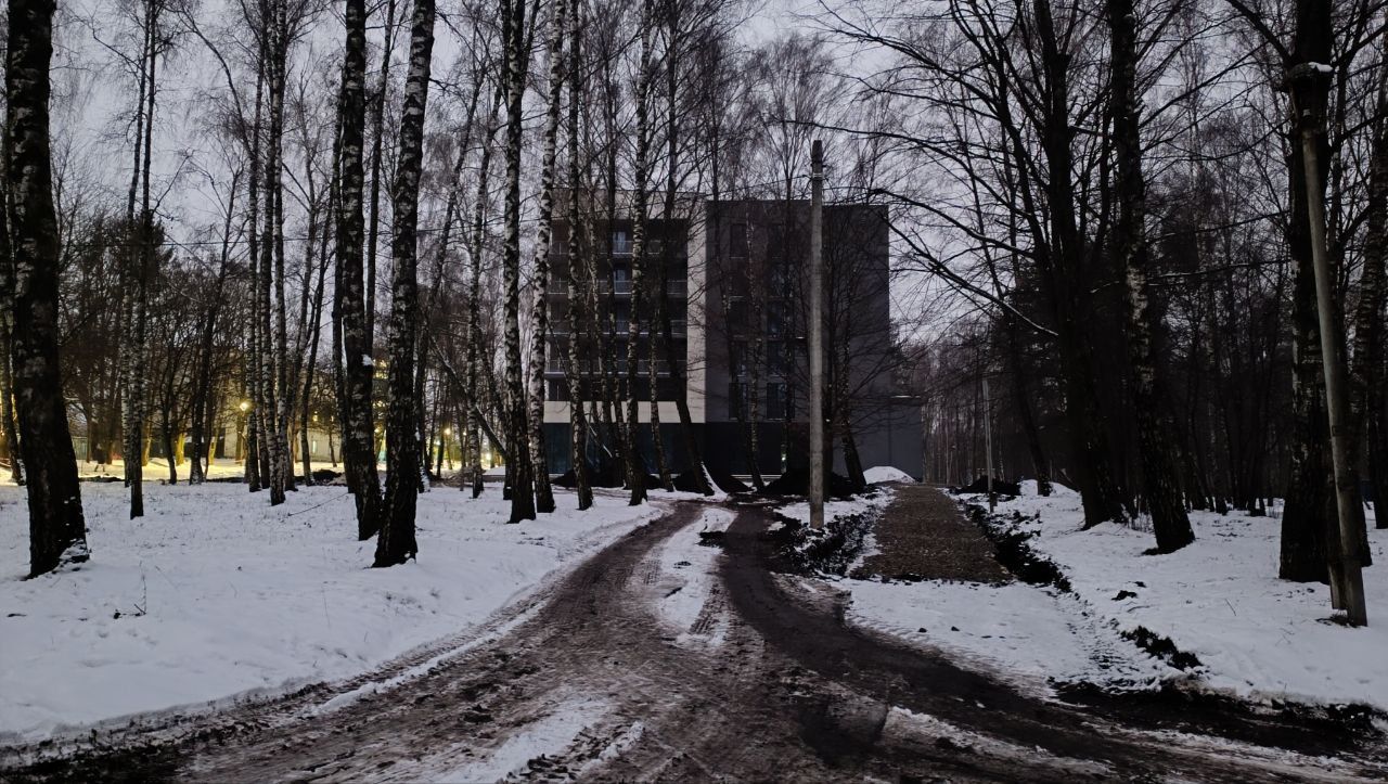 Новини Тернополя - фото з Порушень не виявили? Що роблять біля «Вуличної академії» у парку Нацвідродження