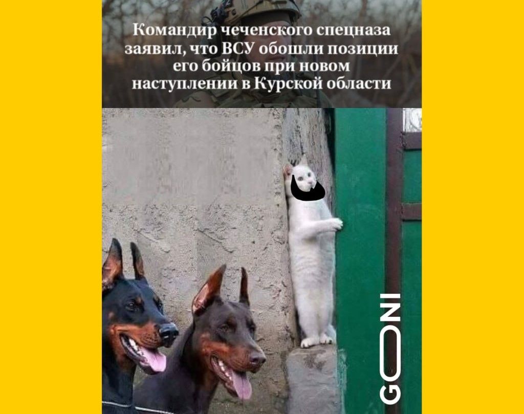Новини Вінниці - фото з Робимо огляд у мемах новин України та світу за минулий тиждень