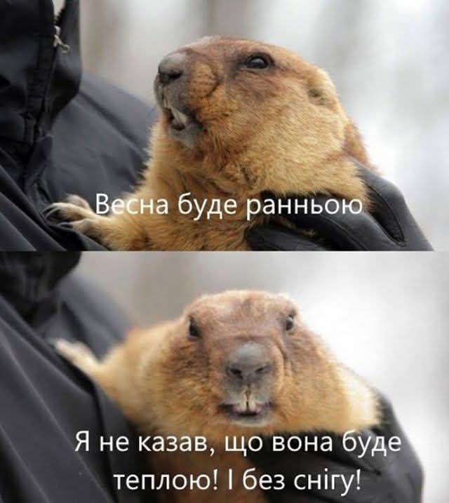 Новини Вінниці - фото з Робимо огляд у мемах новин України та світу за минулий тиждень