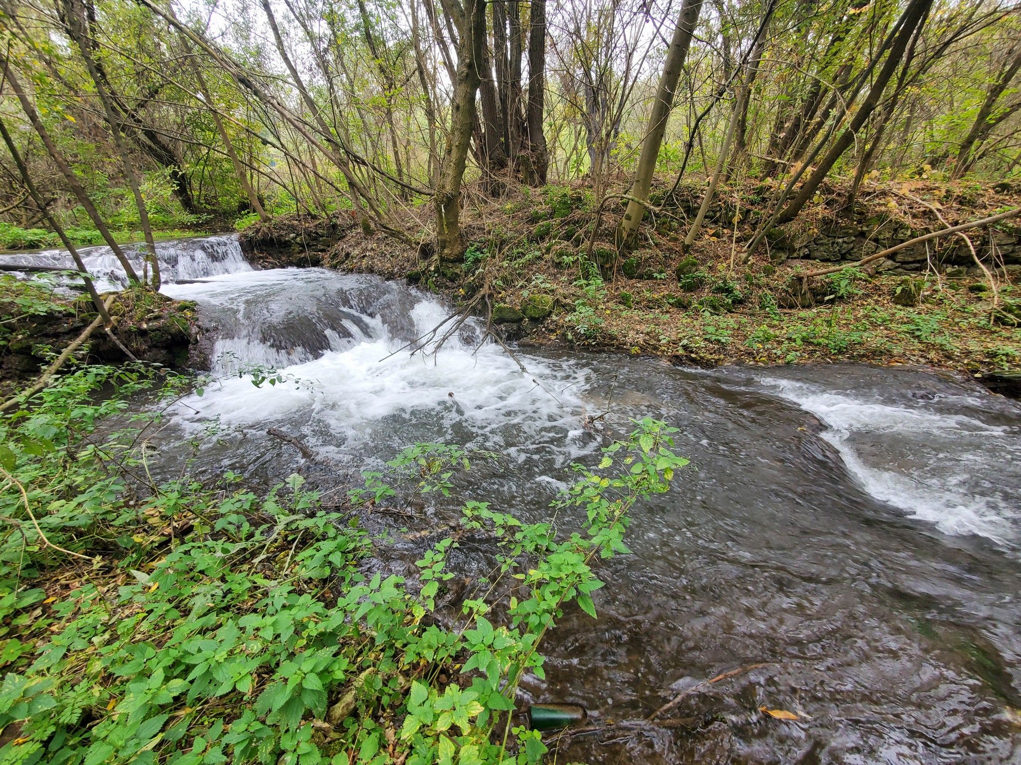 Новини Вінниці - фото з Старий млин і мальовнича природа без туристів. Про прикордонне село Болган