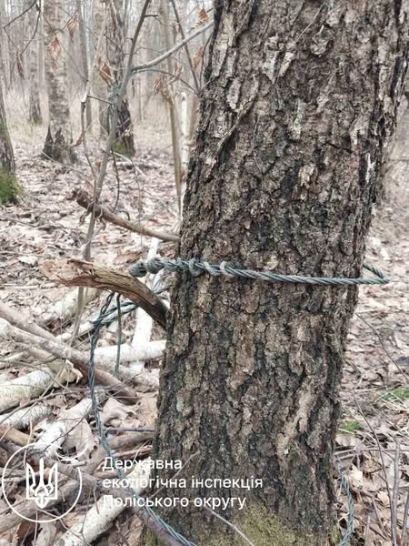 Новини Житомира - фото з Екоінспектори виявили в лісах на Житомирщині браконьєрські засідки