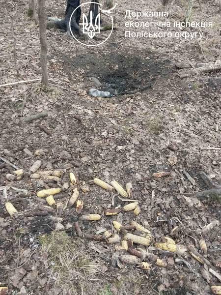 Новини Житомира - фото з Екоінспектори виявили в лісах на Житомирщині браконьєрські засідки