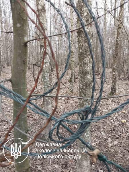 Новини Житомира - фото з Екоінспектори виявили в лісах на Житомирщині браконьєрські засідки