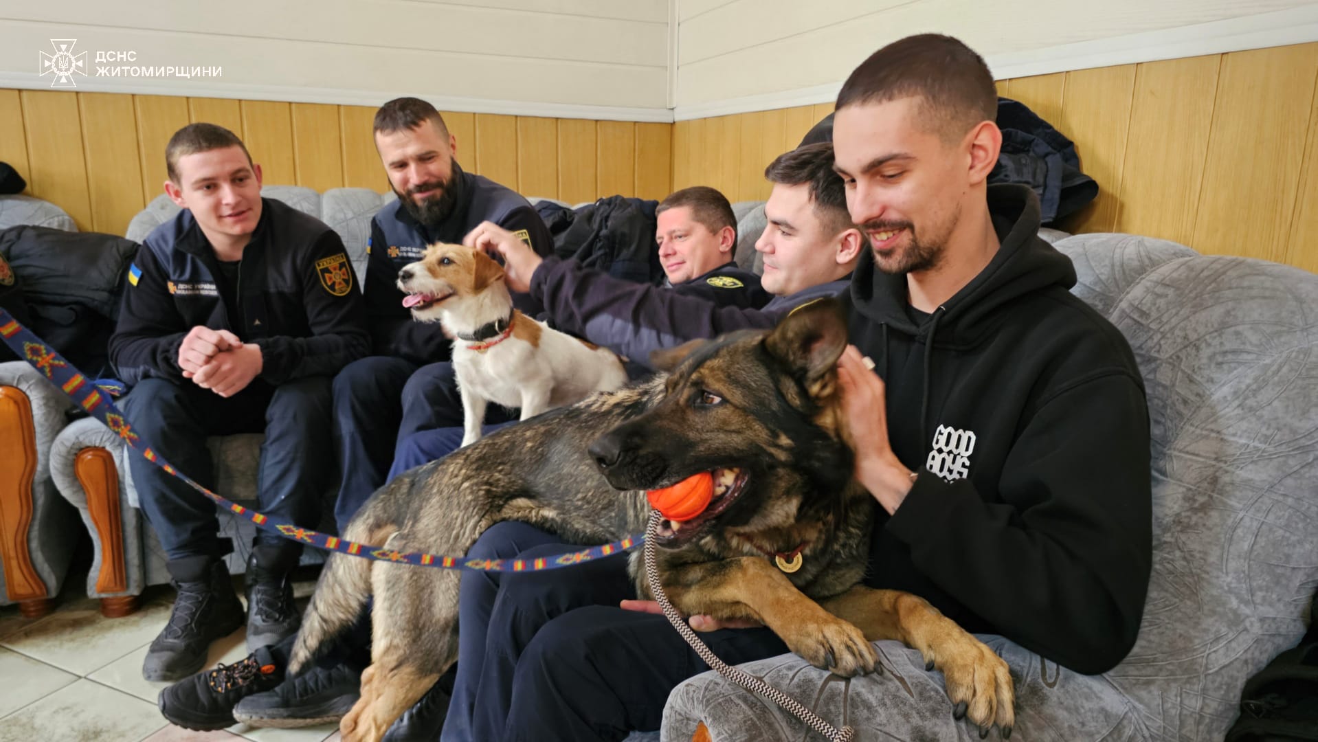 Новини Житомира - фото з Психологині Головного управління ДСНС, заручившись підтримкою собак-терапевтів, провели для піротехніків відновлювальне заняття