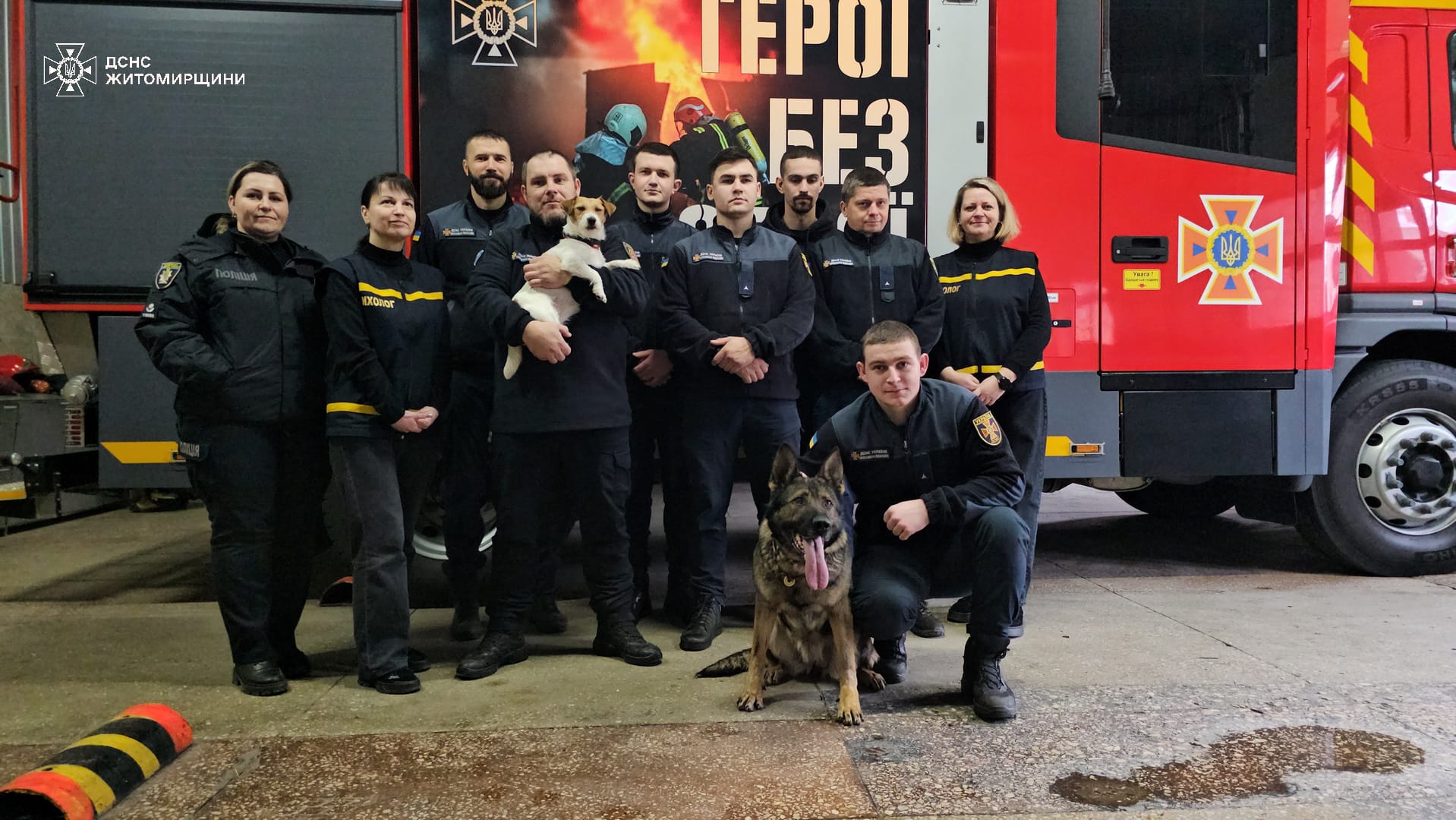 Новини Житомира - фото з Психологині Головного управління ДСНС, заручившись підтримкою собак-терапевтів, провели для піротехніків відновлювальне заняття