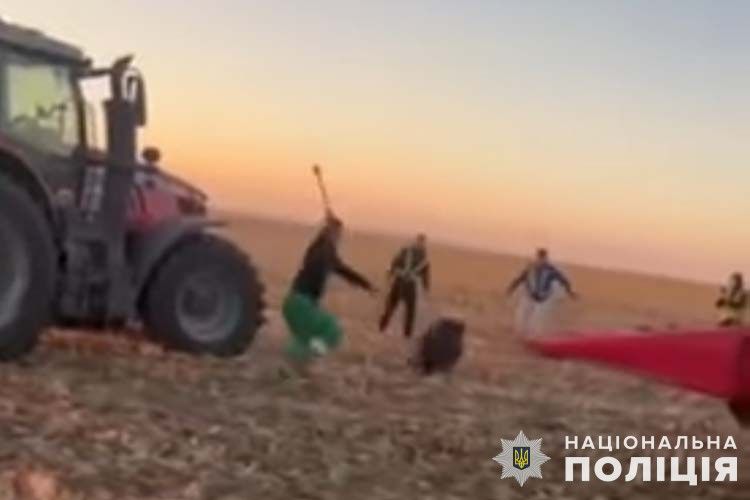 Новини Тернополя - фото з Знущалися над стадом диких кабанів: замість 8 років тюрми аграрії отримали по року умовно