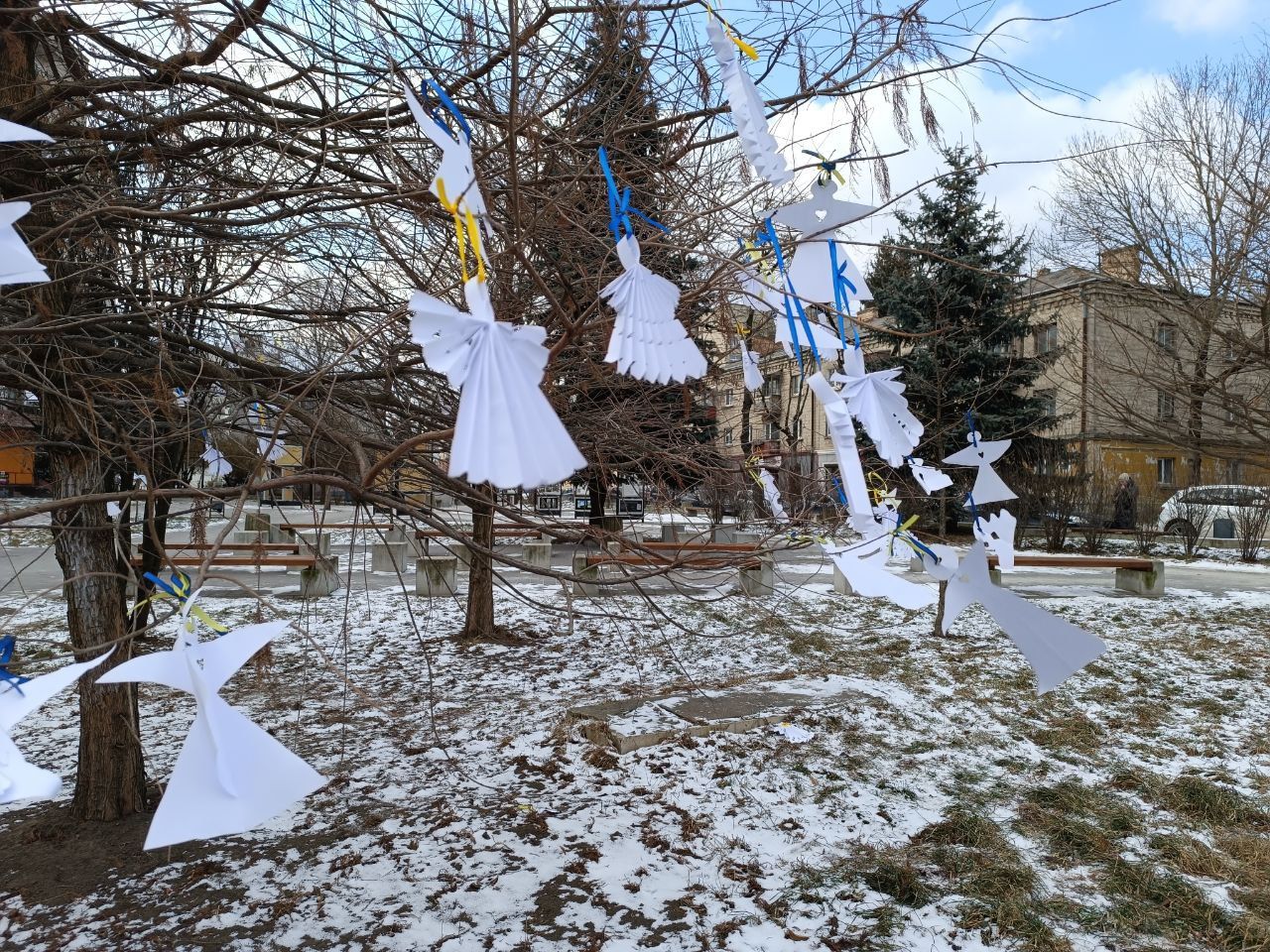 Новини Тернополя - фото з Дерева у сквері Волонтерів прикрасили сотнями паперових янголів