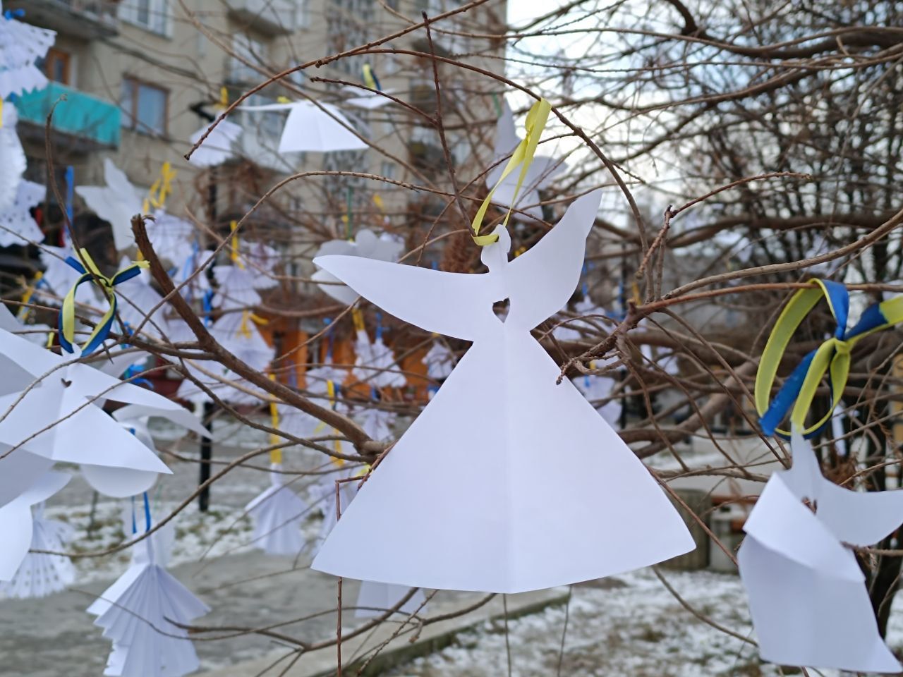 Новини Тернополя - фото з Дерева у сквері Волонтерів прикрасили сотнями паперових янголів