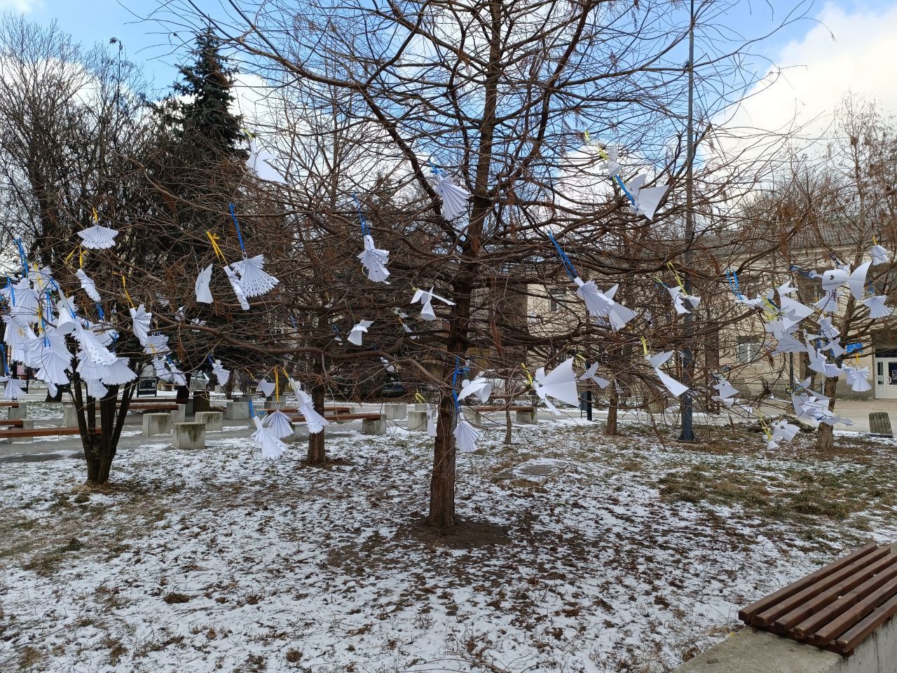 Новини Тернополя - фото з Дерева у сквері Волонтерів прикрасили сотнями паперових янголів