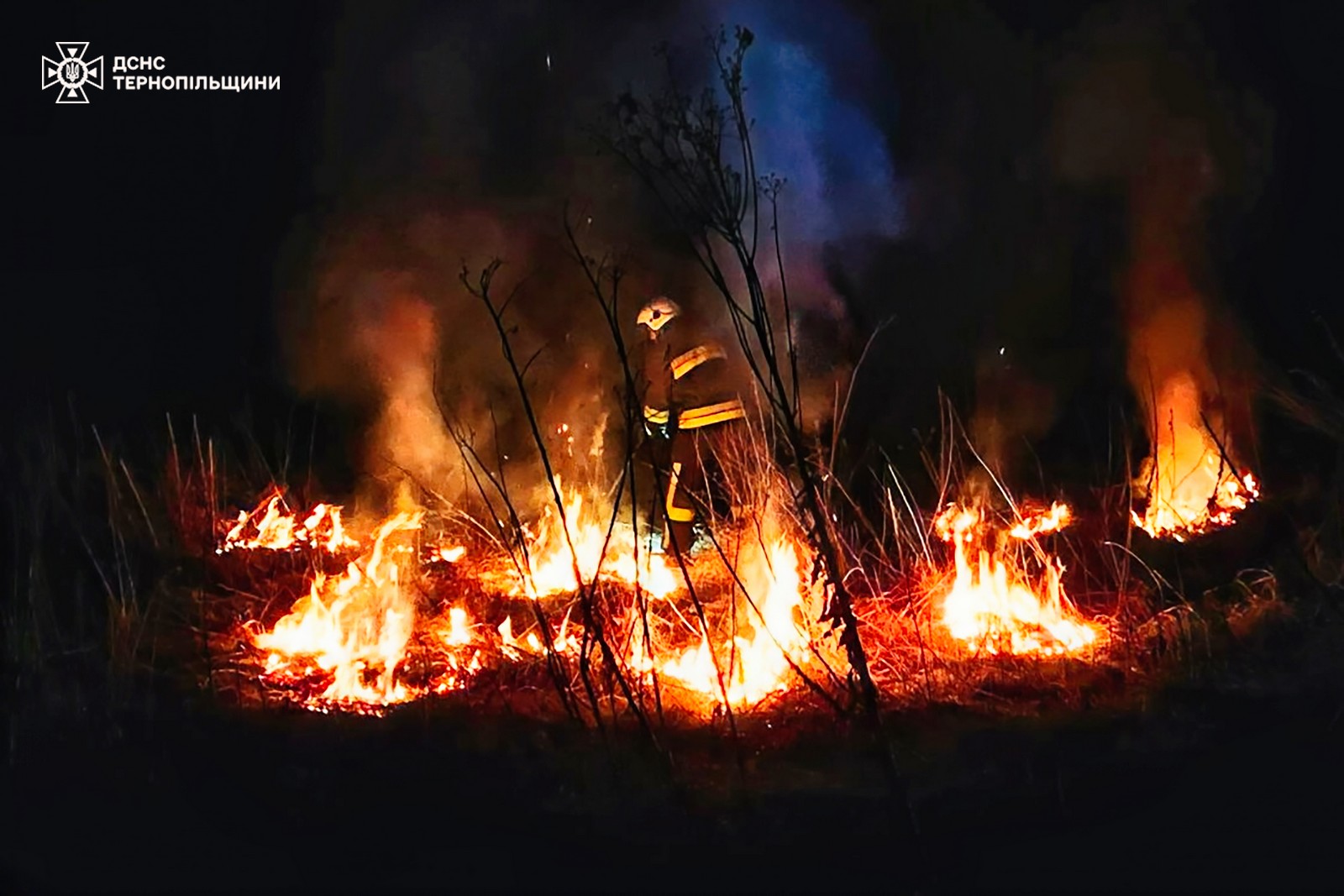 Новини Тернополя - фото з Горить навіть взимку: дві масштабні пожежі сухої трави гасили на Тернопільщині На зображенні може бути: вогонь