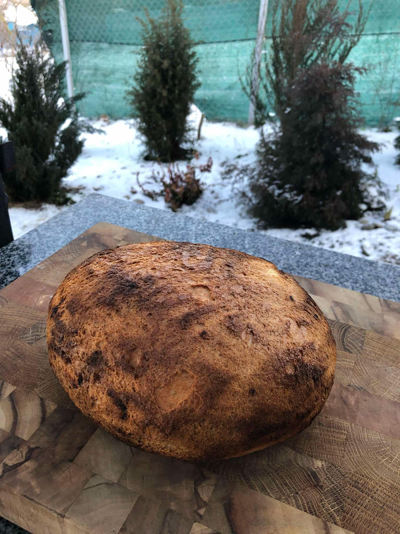 Новини Тернополя - фото з Готуємо фаршировані кальмари та хліб на дровах