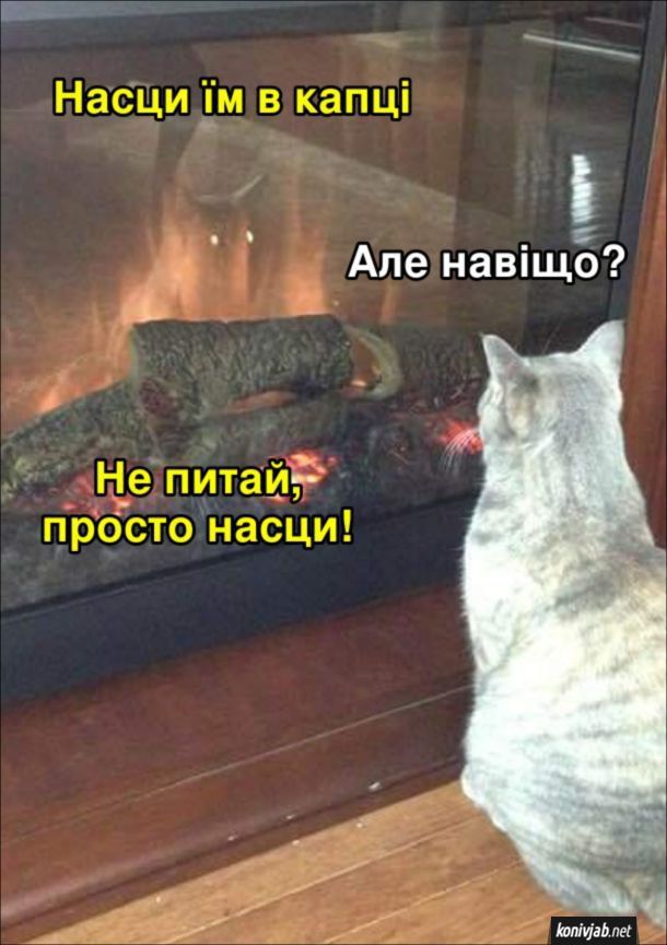 Новини Вінниці - фото з Робимо огляд у мемах новин України та світу за минулий тиждень