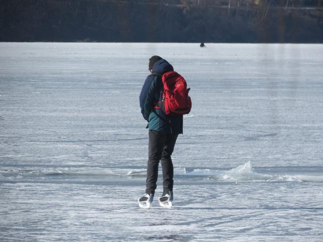 Новини Тернополя - фото з Гуляють, фотографуються та катаються на санках: тернополяни виходять на кригу Ставу