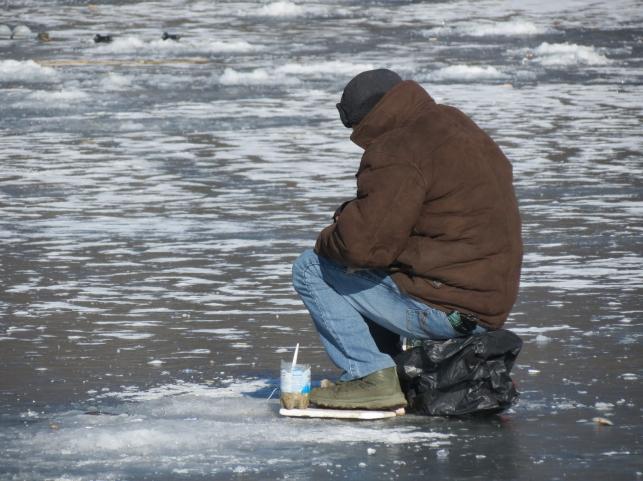Новини Тернополя - фото з Гуляють, фотографуються та катаються на санках: тернополяни виходять на кригу Ставу