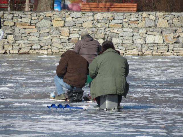 Новини Тернополя - фото з Гуляють, фотографуються та катаються на санках: тернополяни виходять на кригу Ставу