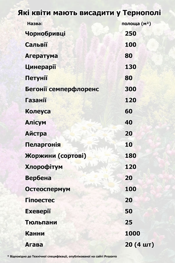 Новини Тернополя - фото з Понад 11 мільйонів планують витратити на догляд за насадженнями в Тернополі