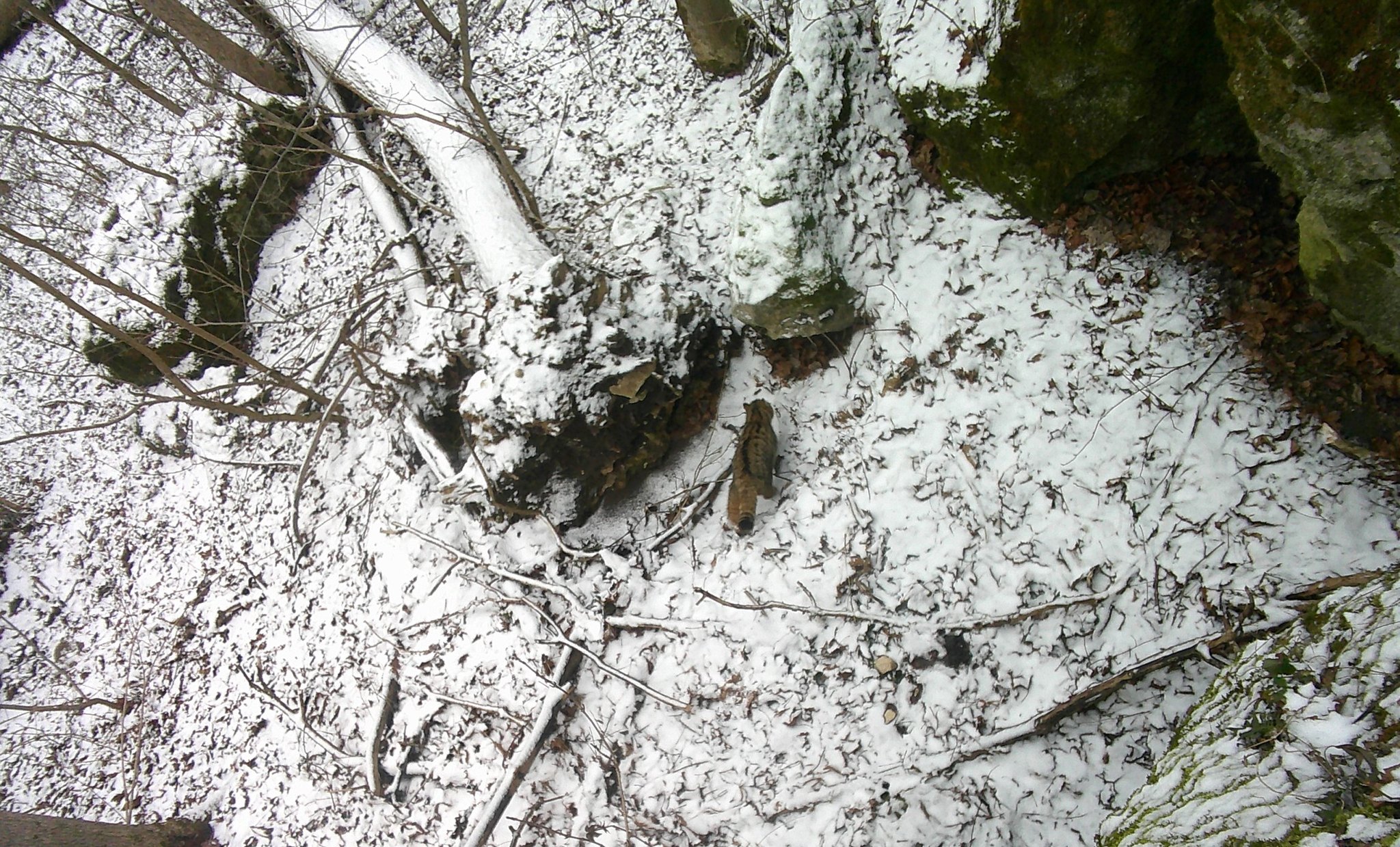 Немає опису світлини.