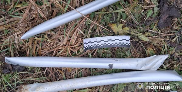 Новини Житомира - фото з 54-річному мешканцю Романова за наругу над могилами військових оголосили підозру