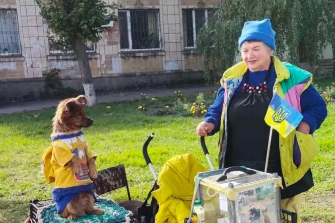 Новини Вінниці - фото з Пес Джеккі, якого отруїли, знову в строю та збирає кошти на дрони для захисників