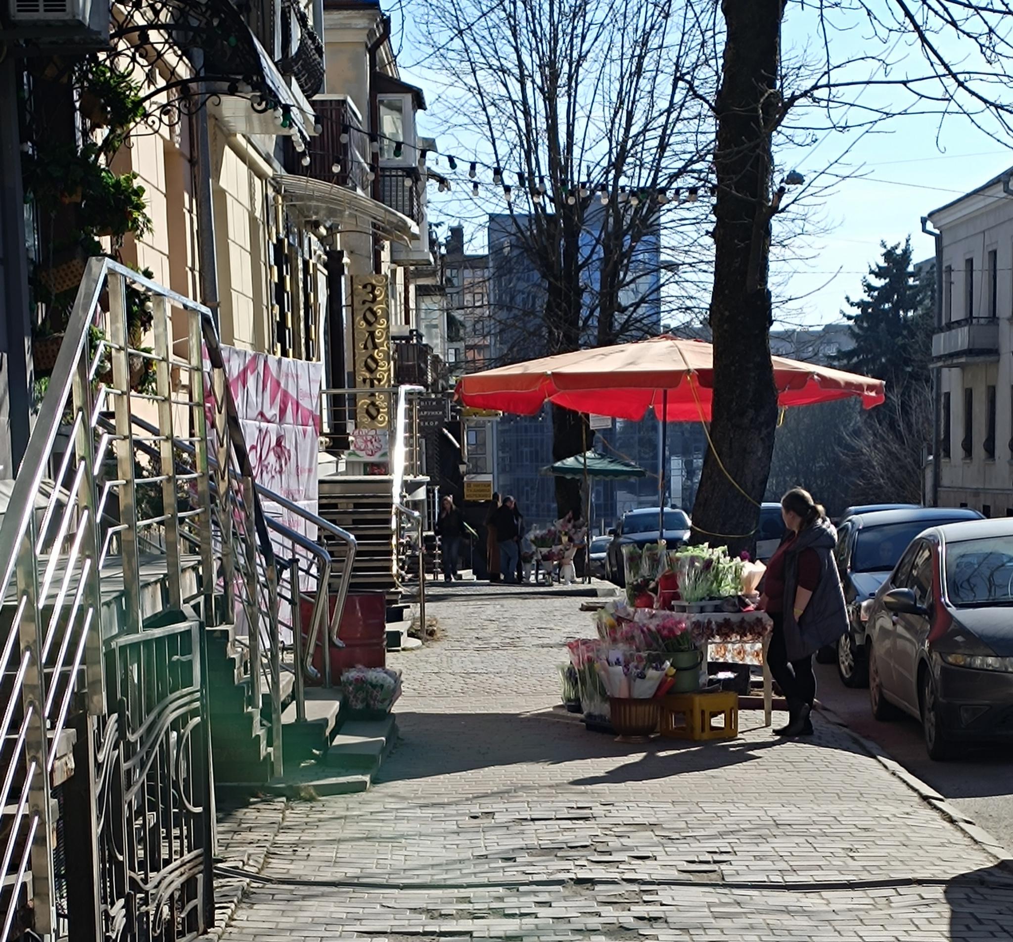 Новини Тернополя - фото з Тернопіль заполонили тюльпани: продають від 40 до 70 за квітку