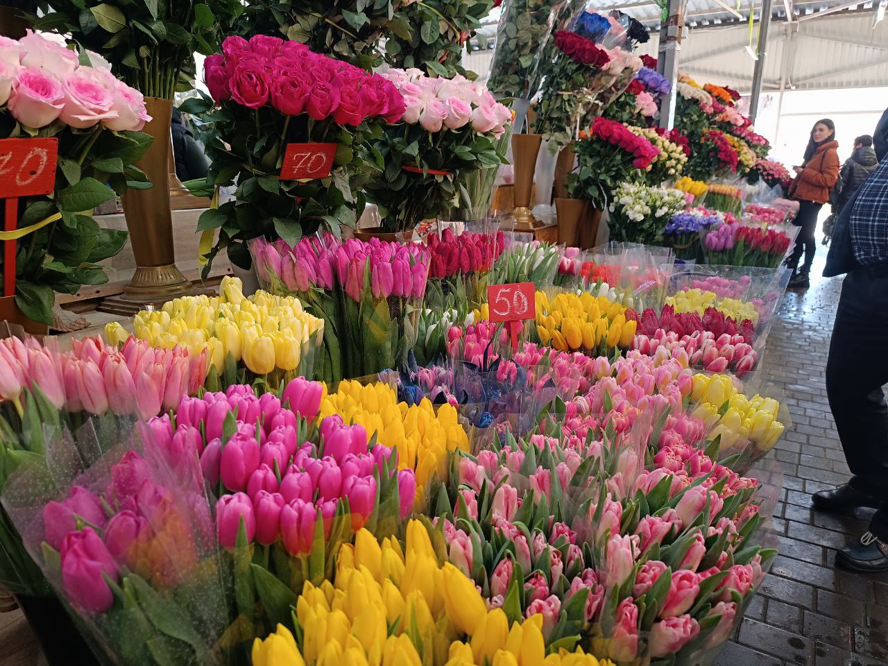 Новини Вінниці - фото з Тюльпани на 8 березня: скільки цьогоріч коштують квіти у Вінниці?
