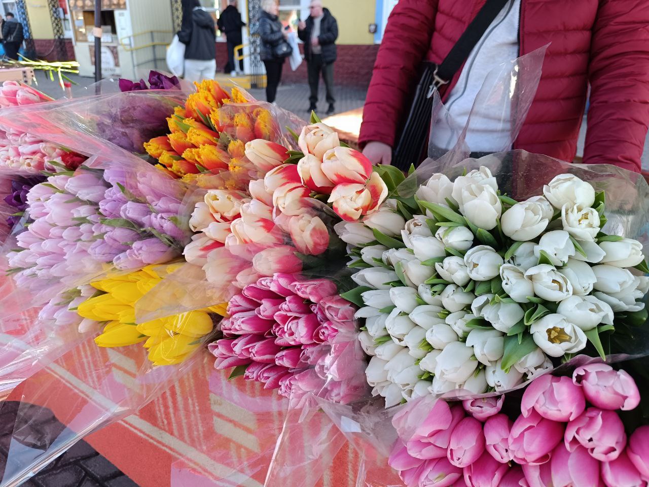 Новини Вінниці - фото з Тюльпани на 8 березня: скільки цьогоріч коштують квіти у Вінниці?