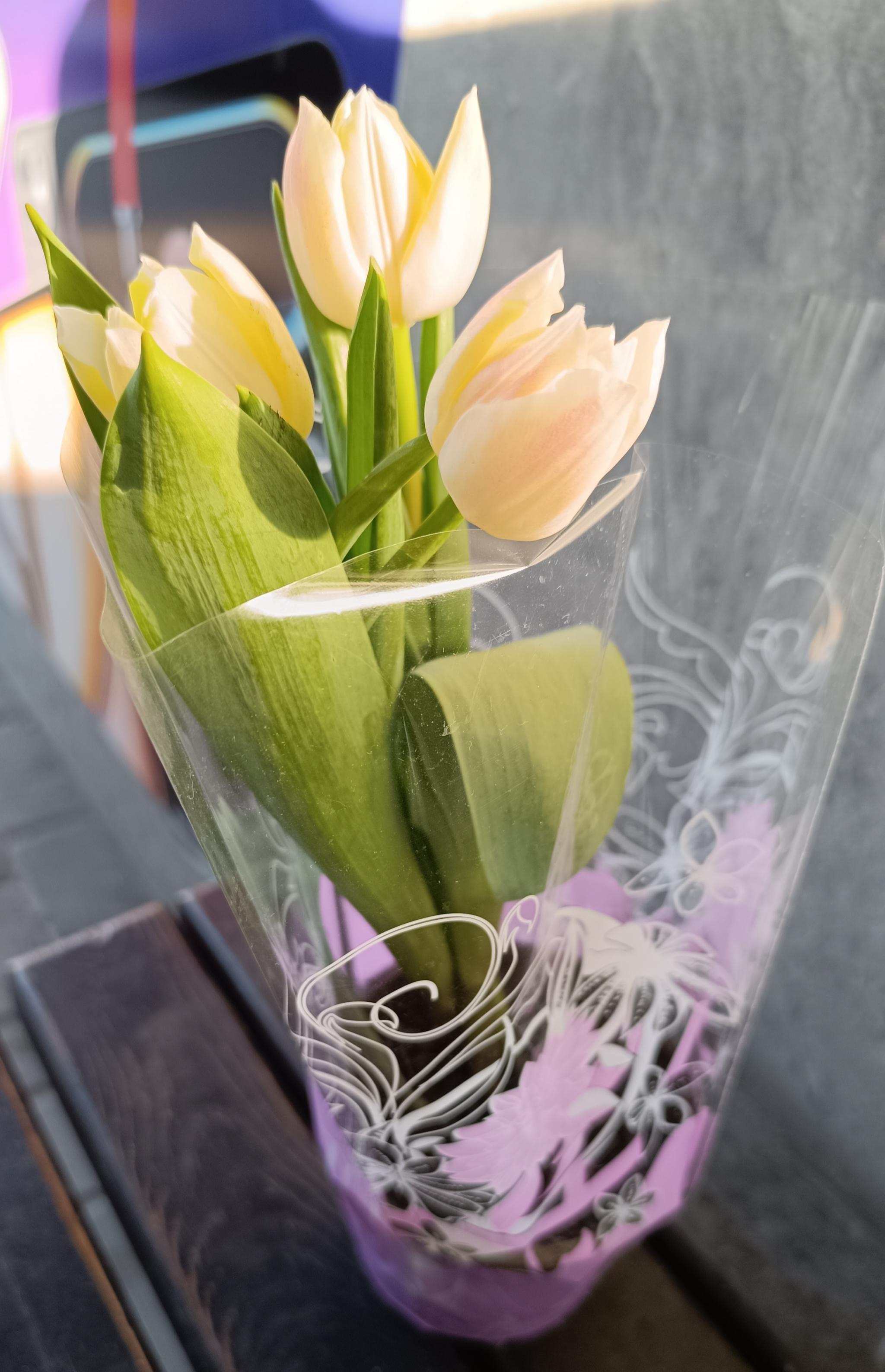 Новини Тернополя - фото з Тернопіль заполонили тюльпани: продають від 40 до 70 за квітку