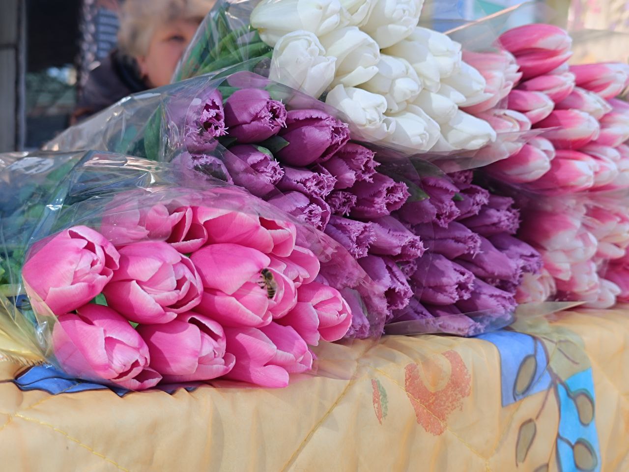 Новини Вінниці - фото з Тюльпани на 8 березня: скільки цьогоріч коштують квіти у Вінниці?