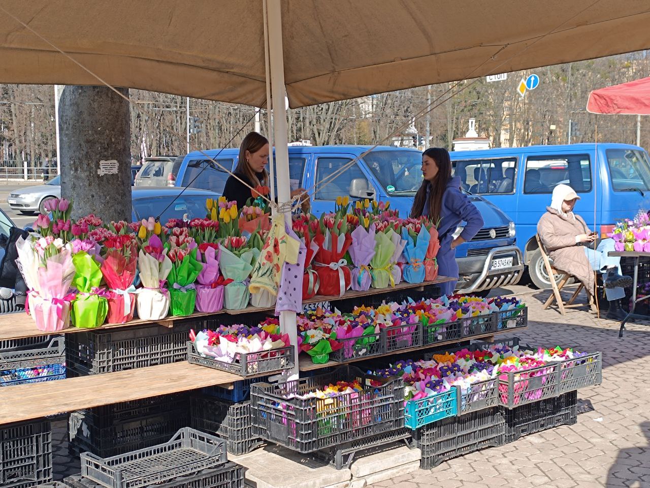 Новини Вінниці - фото з Тюльпани на 8 березня: скільки цьогоріч коштують квіти у Вінниці?