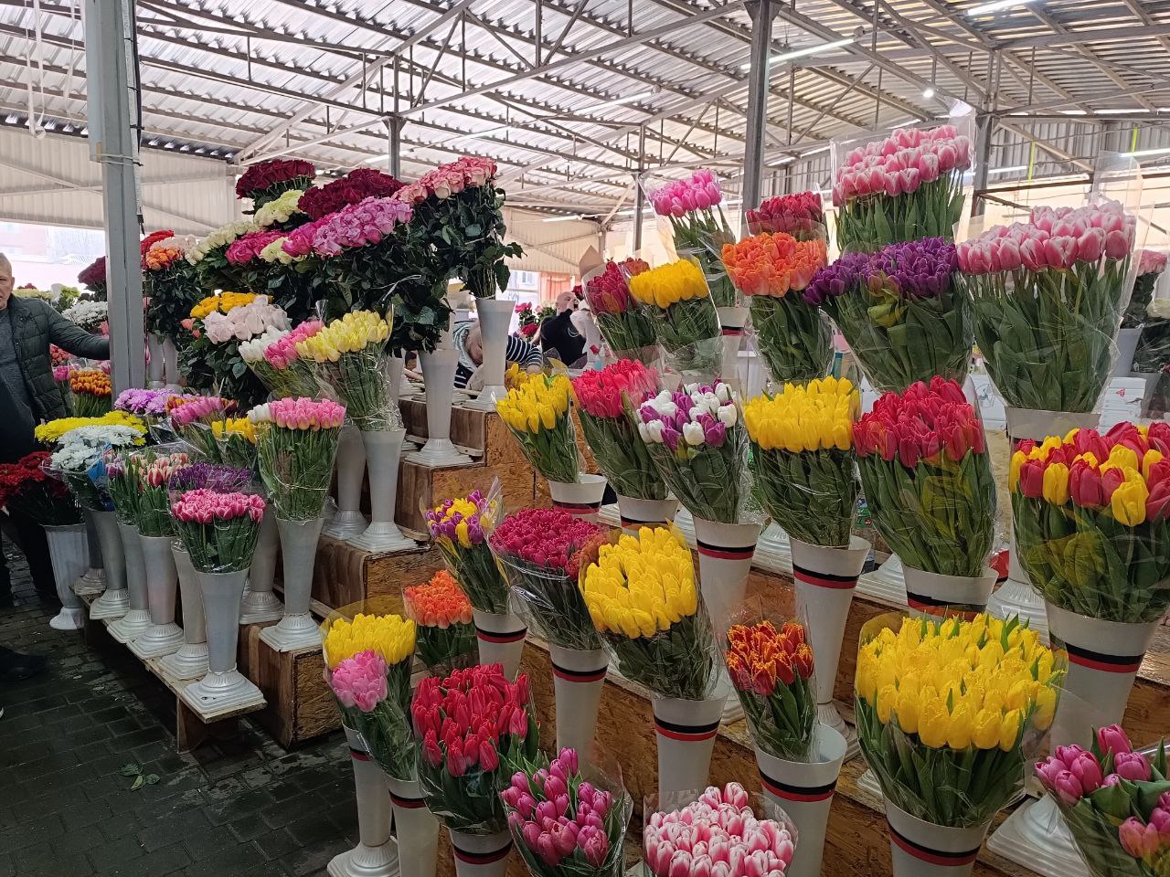 Новини Вінниці - фото з Тюльпани на 8 березня: скільки цьогоріч коштують квіти у Вінниці?