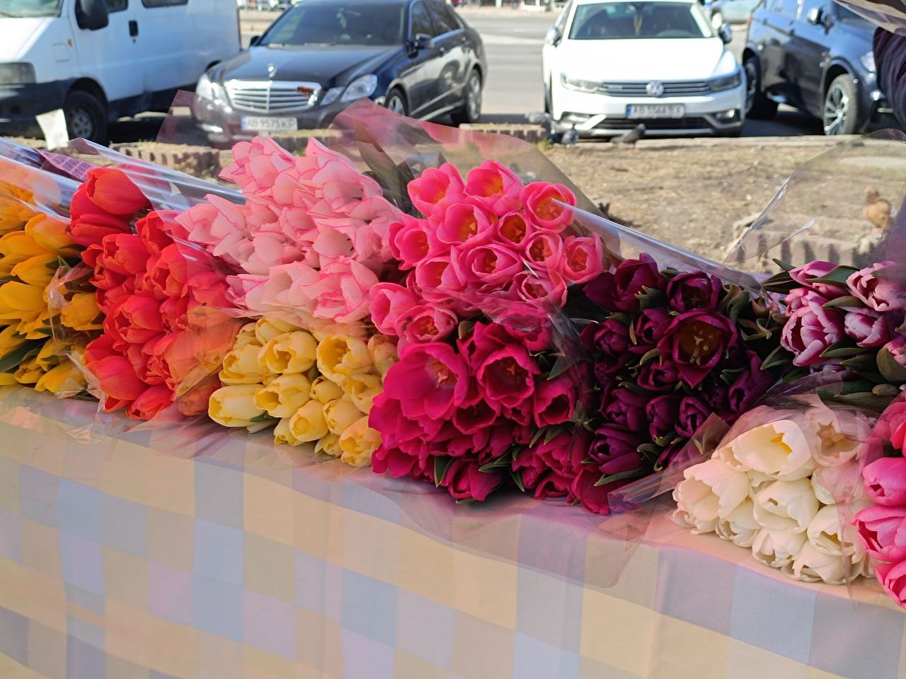 Новини Вінниці - фото з Тюльпани на 8 березня: скільки цьогоріч коштують квіти у Вінниці?