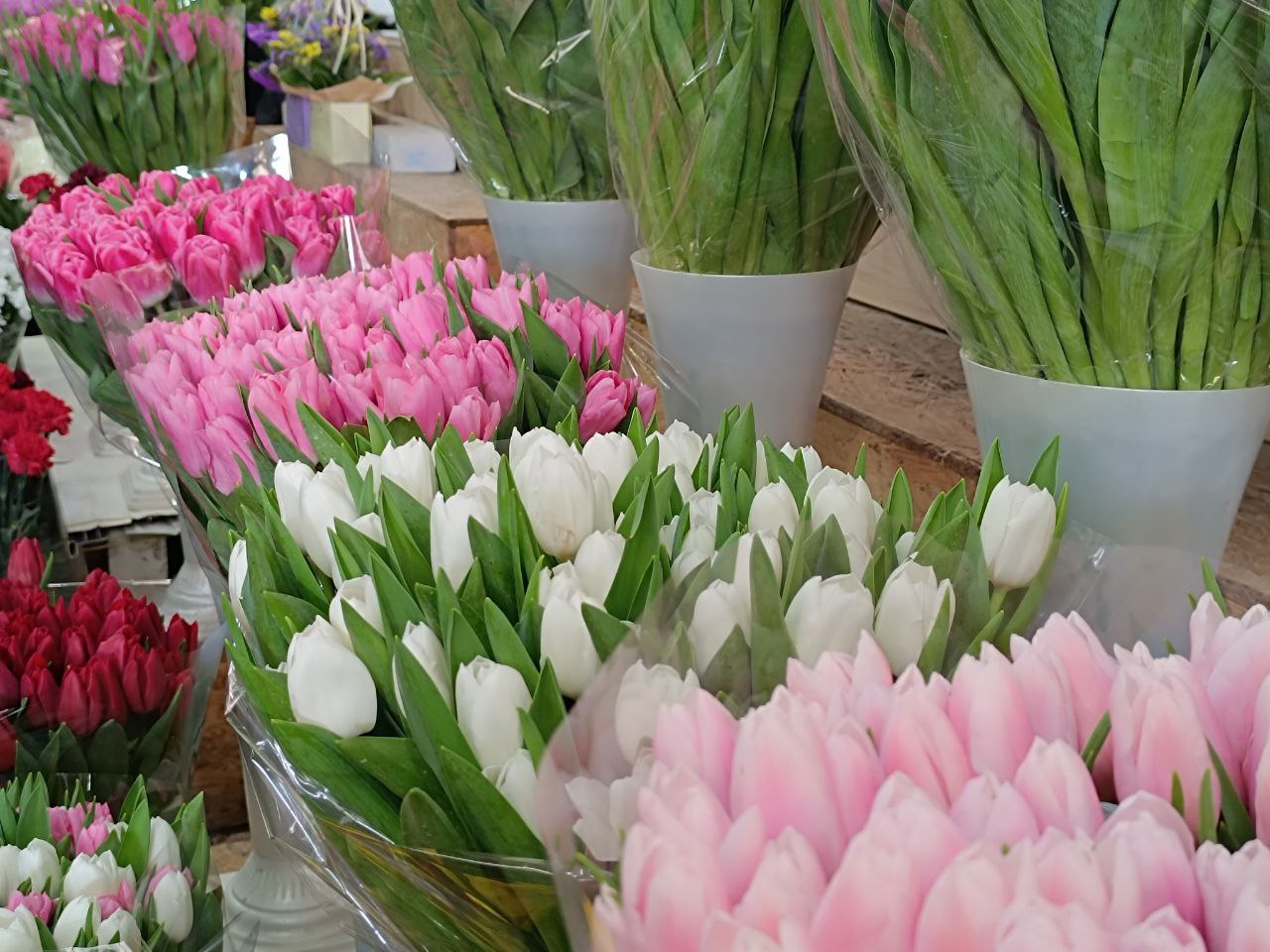 Новини Вінниці - фото з Тюльпани на 8 березня: скільки цьогоріч коштують квіти у Вінниці?